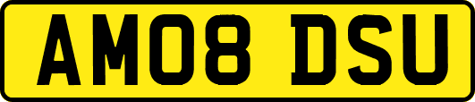 AM08DSU