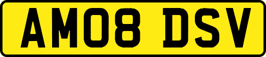 AM08DSV