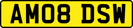 AM08DSW