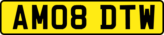 AM08DTW