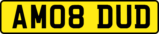 AM08DUD