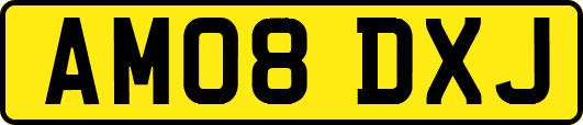 AM08DXJ