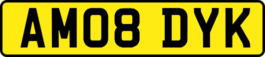 AM08DYK