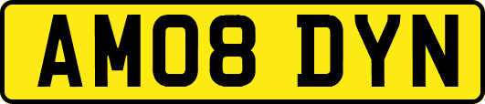 AM08DYN