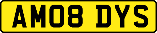AM08DYS