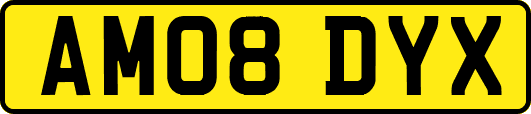 AM08DYX