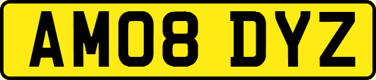 AM08DYZ