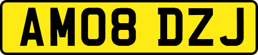 AM08DZJ
