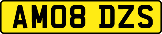 AM08DZS