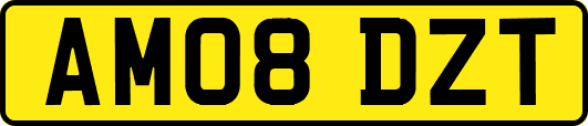 AM08DZT