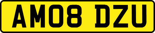 AM08DZU