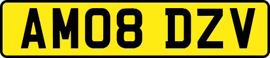 AM08DZV