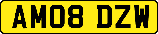 AM08DZW