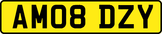 AM08DZY