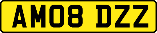 AM08DZZ