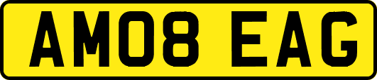 AM08EAG