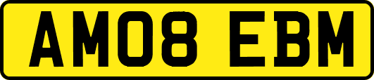 AM08EBM