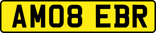 AM08EBR