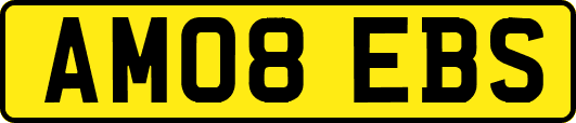 AM08EBS