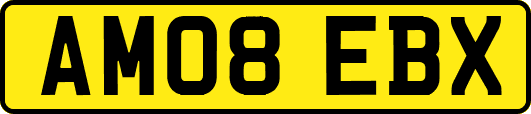 AM08EBX