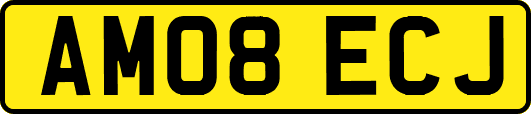 AM08ECJ