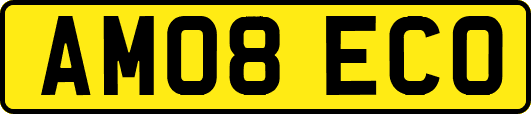AM08ECO