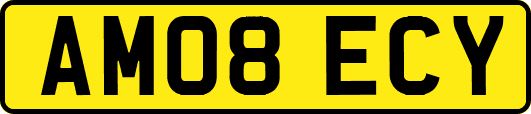 AM08ECY