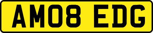 AM08EDG