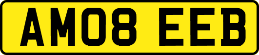 AM08EEB