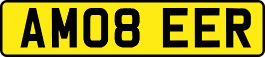 AM08EER