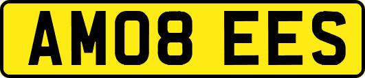AM08EES