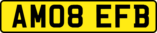 AM08EFB