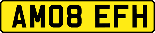 AM08EFH