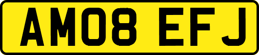 AM08EFJ
