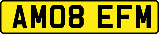 AM08EFM