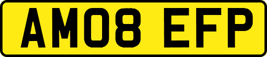 AM08EFP