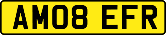 AM08EFR