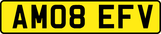 AM08EFV