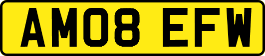 AM08EFW