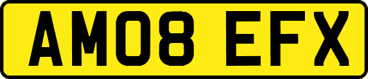 AM08EFX