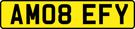 AM08EFY