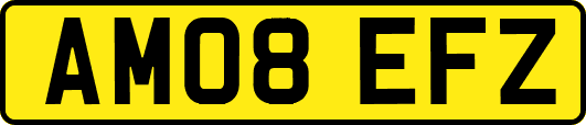 AM08EFZ