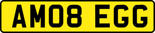 AM08EGG