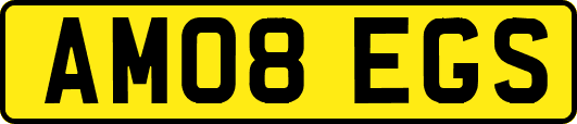 AM08EGS