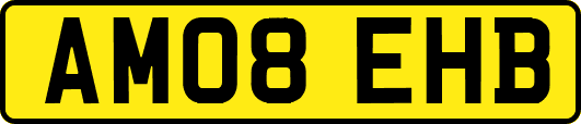 AM08EHB