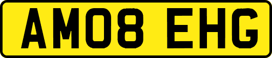 AM08EHG
