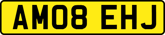 AM08EHJ
