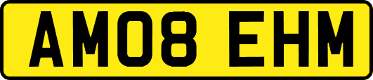AM08EHM
