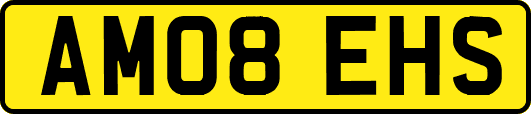 AM08EHS