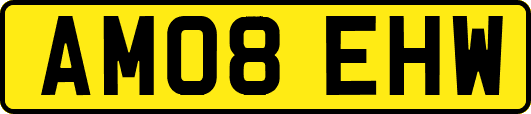 AM08EHW